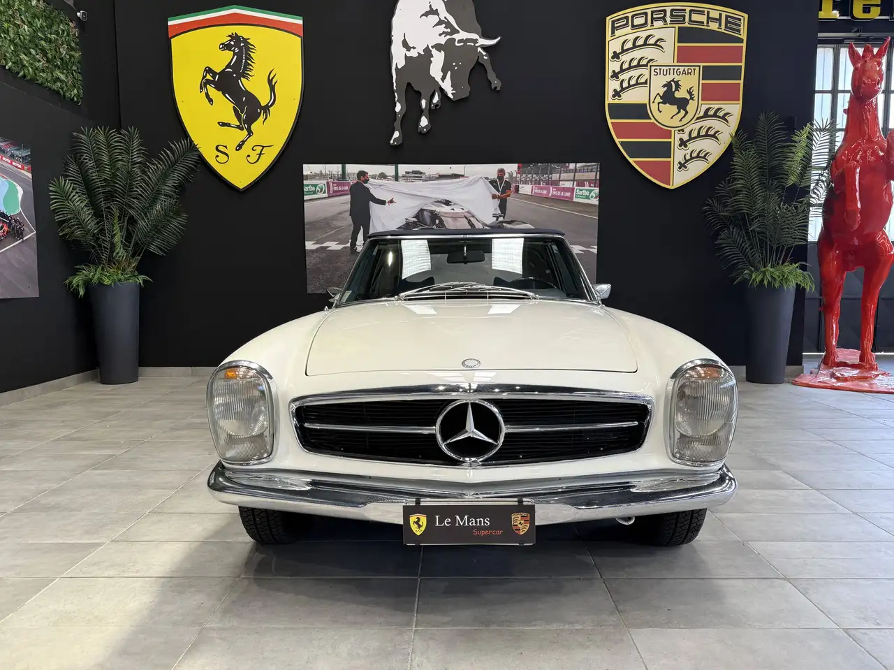 Mercedes-Benz SL 280 Pagoda Roadster *da collezione*, foto 2