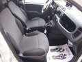 Fiat Panda 1.0 Hybrid VAN 50.000KM 6 MARCE Bianco - thumbnail 11