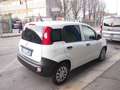 Fiat Panda 1.0 Hybrid VAN 50.000KM 6 MARCE Bianco - thumbnail 5