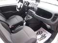 Fiat Panda 1.0 Hybrid VAN 50.000KM 6 MARCE Bianco - thumbnail 12