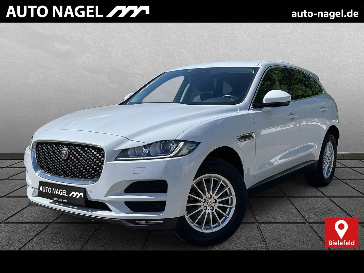 Jaguar F-Pace F-PACE 20d Prestige 18" Xenon Navi el.Heckklappe Wit - 1