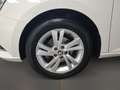 Skoda Fabia Combi 1.0 TSI Ambition AHK DynLicht LED LM Weiß - thumbnail 5