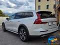 Volvo V60 Cross Country B4 (d) AWD automatico Ultimate IVA ESPOSTA Weiß - thumbnail 6
