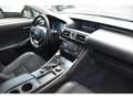 Lexus IS 300 300h - BV E-CVT  300H . PHASE 1 Grau - thumbnail 5