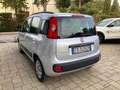 Fiat Panda 1.2 Easy Grigio - thumbnail 5