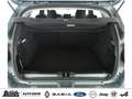 Dacia Sandero Stepway TCe 110 Extreme+ SITZHZG. KLIMA NAVI PDC Grün - thumbnail 20