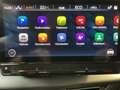 CUPRA Born 58kWh+P.Below+P.Pilot Gris - thumbnail 15