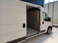 Fiat Ducato Ducato 35 2.2 Mjt 140CV PM-TM Furgone Bianco - thumbnail 8