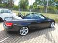 BMW 330 330i Cabrio/Leder/Navig/Parktr./Sitzh./19Alu/Xenon Czarny - thumbnail 6
