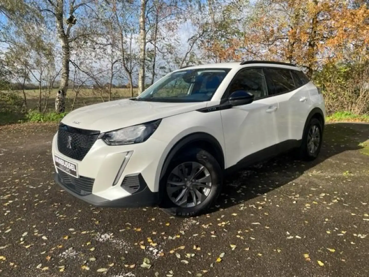 Peugeot 2008 Style Wit - 1