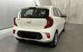 Kia Picanto Edition 7 Blanc - thumbnail 2