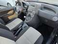Fiat Panda 1.3 MJT 16V 4x4 Cross Nero - thumbnail 11