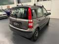 Fiat Panda Panda  1.2 Dynamic 69cv E5 Ok Neopatentati Grigio - thumbnail 7
