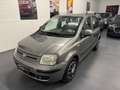 Fiat Panda Panda  1.2 Dynamic 69cv E5 Ok Neopatentati Grigio - thumbnail 3