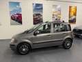 Fiat Panda Panda  1.2 Dynamic 69cv E5 Ok Neopatentati Grigio - thumbnail 4