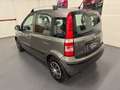 Fiat Panda Panda  1.2 Dynamic 69cv E5 Ok Neopatentati Grigio - thumbnail 5