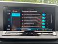 Volkswagen Caddy Cargo TDI 4MOTION Weiß - thumbnail 12