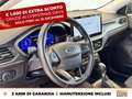 Ford Focus active 1.0 ecoboost h x 125cv powershift Modrá - thumbnail 19