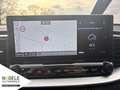 Kia Ceed SW / cee'd SW Ceed SW 1.5 T-GDI Vision|Navi|Sitzh.|Tempomat  BC Grau - thumbnail 14