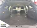 Kia Ceed SW / cee'd SW Ceed SW 1.5 T-GDI Vision|Navi|Sitzh.|Tempomat  BC Grau - thumbnail 13