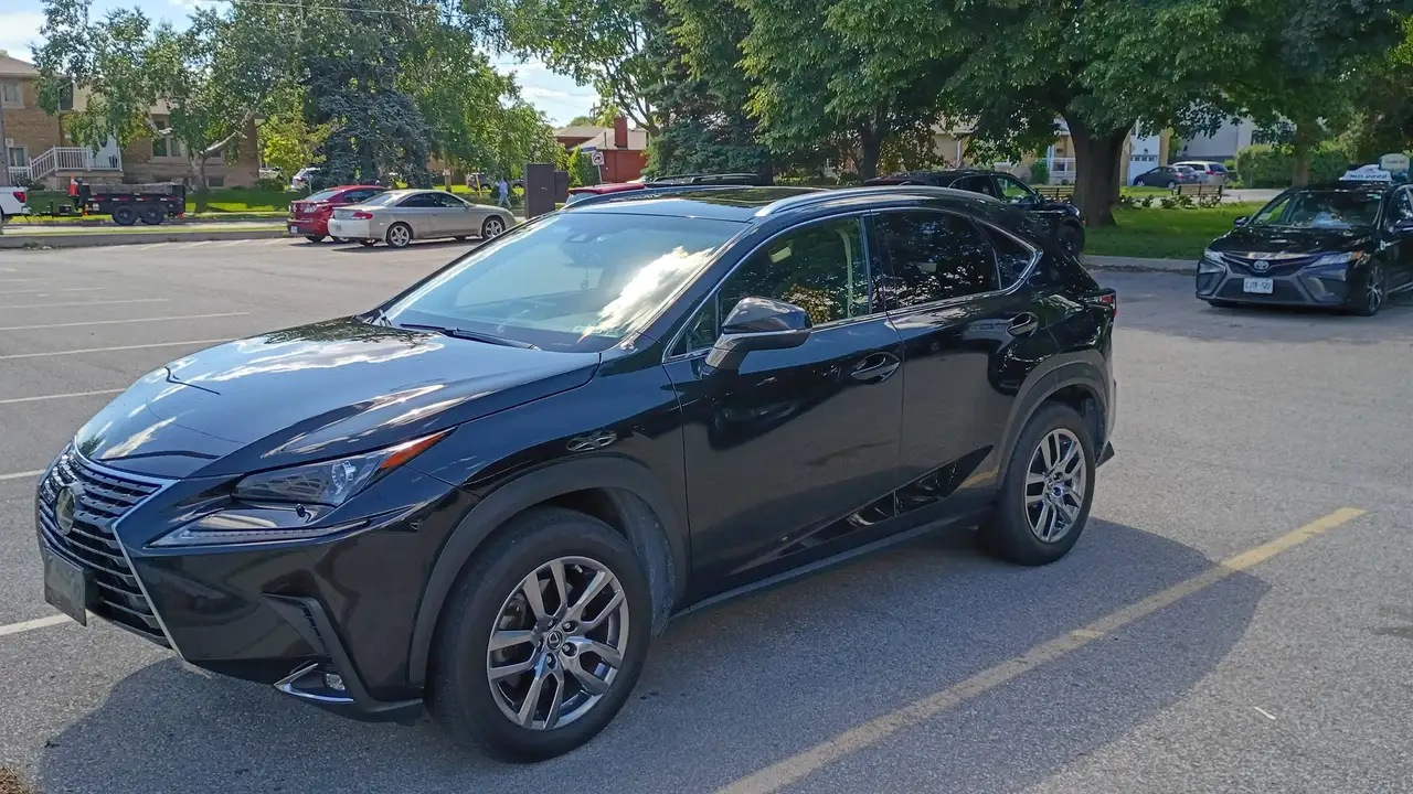 2019 Lexus NX