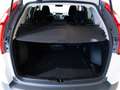 Honda CR-V 1.6i-DTEC Lifestyle 4x2 Blanco - thumbnail 22
