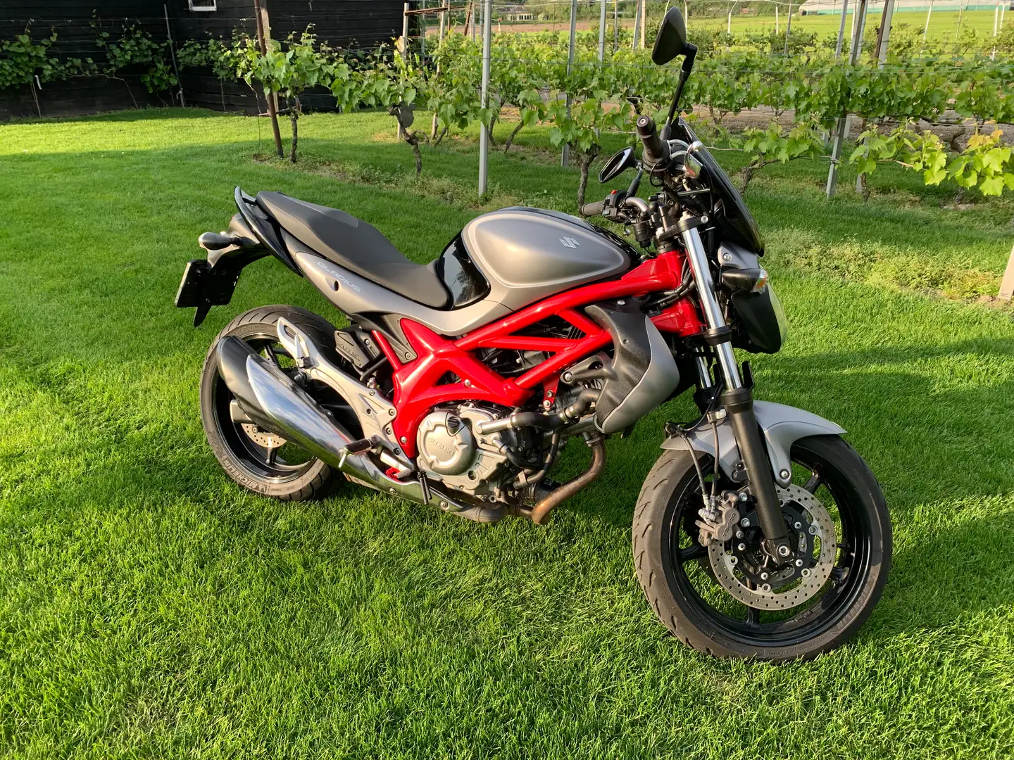 Suzuki Gladius 650 Rojo - 1