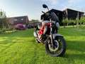 Suzuki Gladius 650 Rojo - thumbnail 3