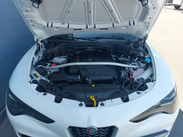 Alfa Romeo Stelvio Veloce 2.2 16V 210 AT8 Q4 Ansicht 20