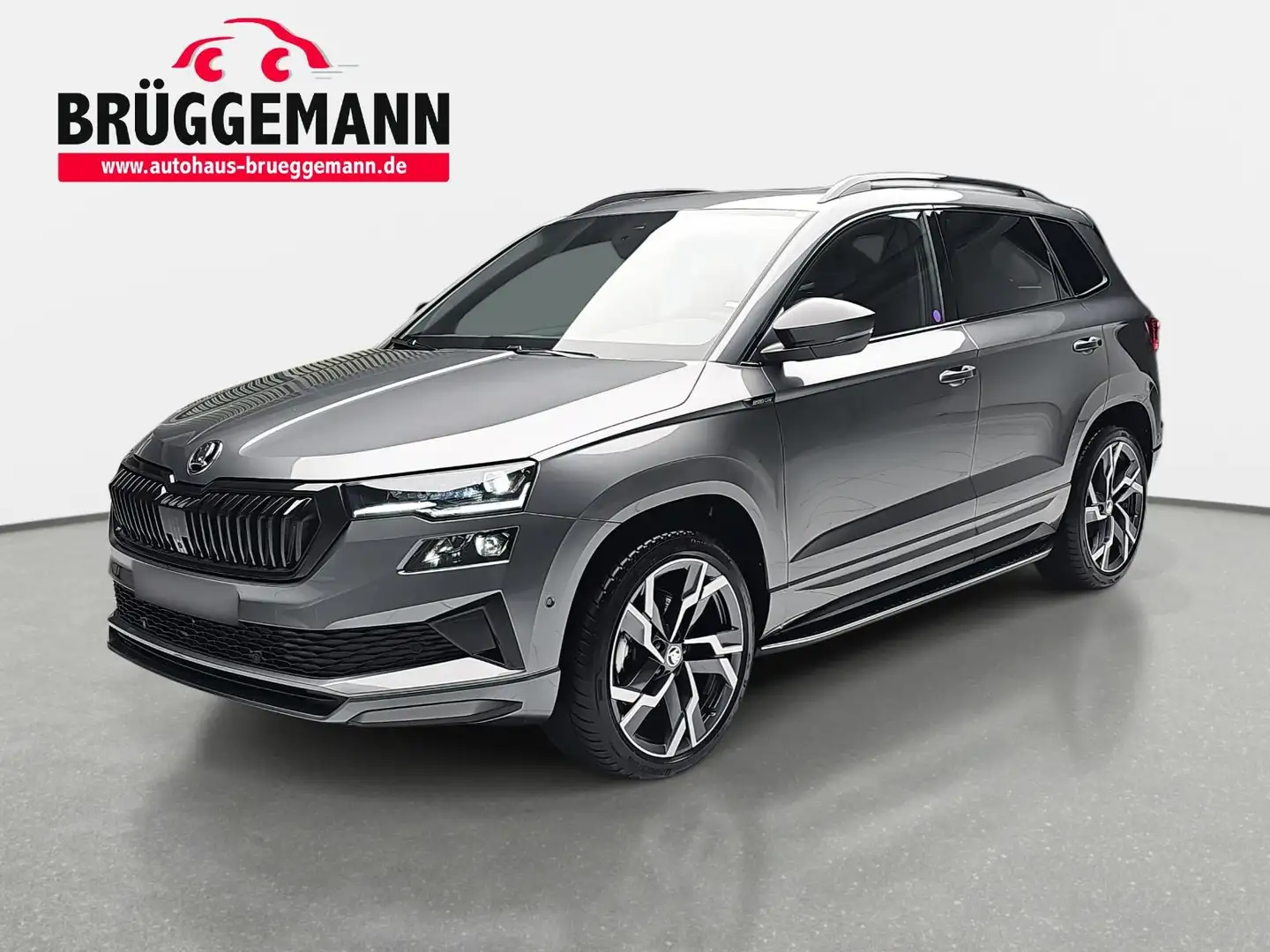 Skoda Karoq KAROQ 2.0 TSI DSG SPORTLINE 4X4 NAVI LED LEDER PAN Gris - 1