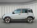 Fiat Panda 1.2 City Cross s&s 69cv my19 5 Posti Grigio - thumbnail 4