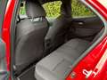 Toyota Corolla 1.8 Hybrid Business Plus/Hagel Schade Rood - thumbnail 14
