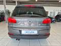 Volkswagen Tiguan Track & Style 4Motion PDC*AHK*SHZ*Tempoma Grau - thumbnail 7