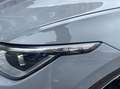Volkswagen Golf Golf VIII 1.5 etsi evo 1st Edition Style 150cv dsg Gris - thumbnail 17