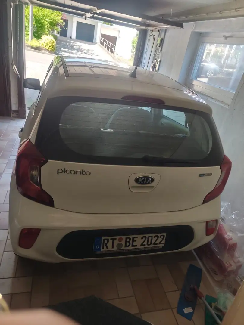 Kia Picanto Picanto 1.1 Spirit Weiß - 2