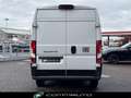 Fiat Ducato 35 2.2 Mjt 140CV PLM-TA Furgone + IVA Blanc - thumbnail 5