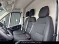 Fiat Ducato 35 2.2 Mjt 140CV PLM-TA Furgone + IVA Blanc - thumbnail 14