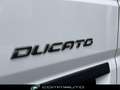 Fiat Ducato 35 2.2 Mjt 140CV PLM-TA Furgone + IVA Blanc - thumbnail 8