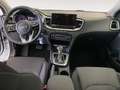 Kia Ceed / cee'd 1.0 MHEV Drive DCT 100 - thumbnail 11