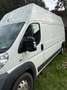 Fiat Ducato Fiat Ducato Transporter / Kastenwagen - thumbnail 2