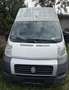 Fiat Ducato Fiat Ducato Transporter / Kastenwagen - thumbnail 1