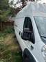 Fiat Ducato Fiat Ducato Transporter / Kastenwagen - thumbnail 3