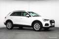 Audi Q3 45 TFSIe ACC ASSISTENZ LED CARPLAY TOP-DEAL Weiß - thumbnail 35