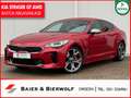 Kia Stinger GT 4WD 3.3TDG-i 360GRAD BASTUK AGA Rouge - thumbnail 1