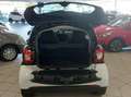 smart forTwo Fortwo 1.0 Youngster 71cv c/S.S. Wit - thumbnail 8