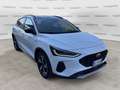 Ford Focus 1.0 EcoBoost Hybrid 125CV 5p. Active Blanc - thumbnail 1