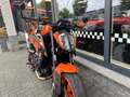 KTM 890 Duke GP - thumbnail 4