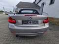 BMW 220 i Cabrio 2,0,Automatik,LED,Navi,PDC,Sitzh Plateado - thumbnail 6