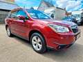 Subaru Forester 2.0X Active Lineartronic +AHK+KAMERA+ Rojo - thumbnail 8
