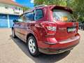 Subaru Forester 2.0X Active Lineartronic +AHK+KAMERA+ Rojo - thumbnail 3